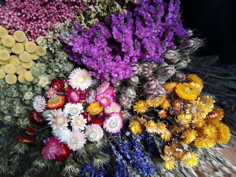 Dried flowers